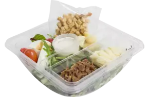 Indoor lunchsalade Caesar 250gr